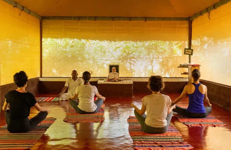 island resort in kerala