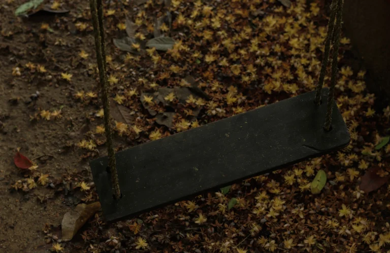 island resort in kerala