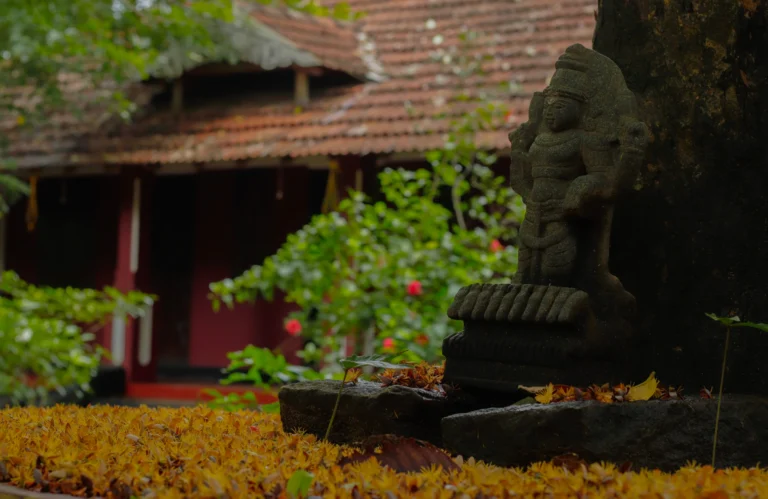 island resort in kerala