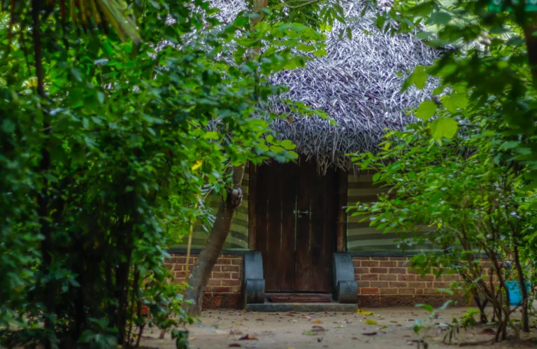 island resort in kerala